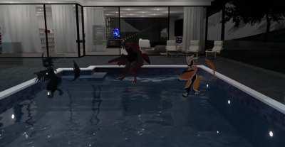 Have some dancing avalis to brighten up your day