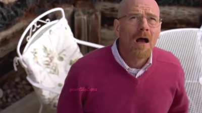 I think I downloaded the wrong Breaking Bad [F]