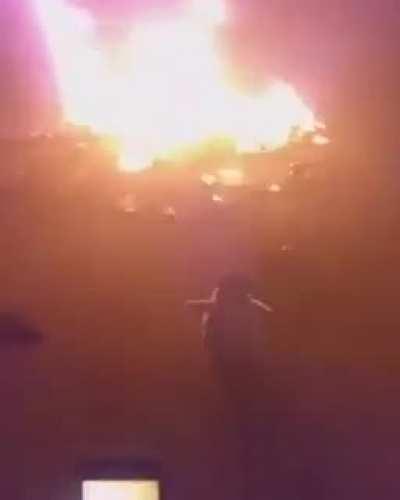 Baila pingu que baila