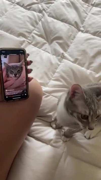 I showed my girl a video of herself yelling three months ago. She was quite confused.