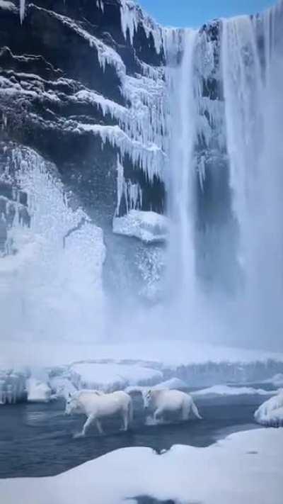 Skogafoss Waterfall Iceland