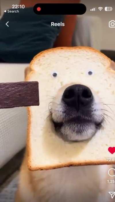 I know it’s meant to be inanimate objects, but…