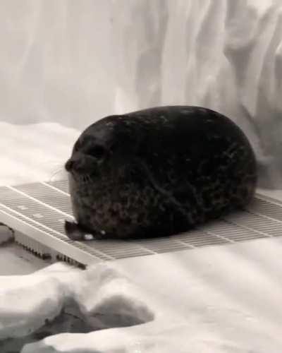 Take a look at this ROUNDSTER