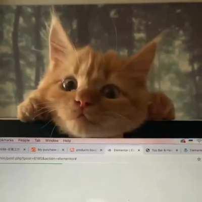 When your work reaches the boss level