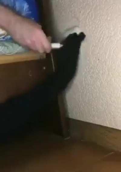 yo sabia que algo de eso pasaba...