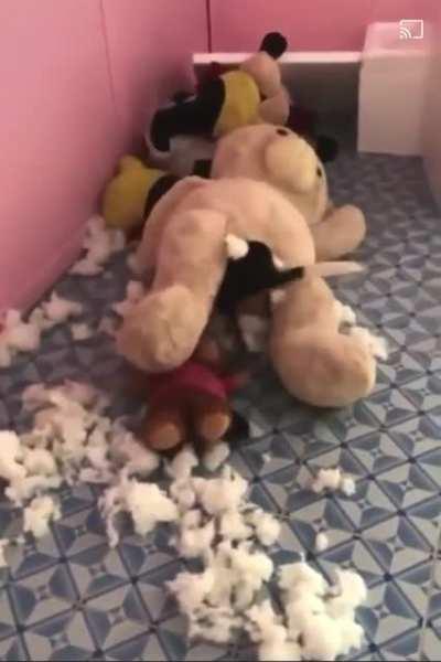 BeAr BrUtAlLy BEINg eAtEn alIVe