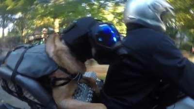 Week 10: Upgraded Platform Padding And Added Tinted Lens