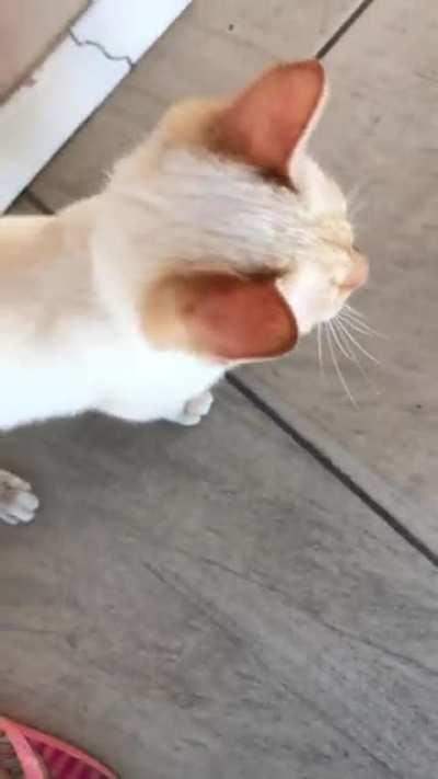 thought this might belong here