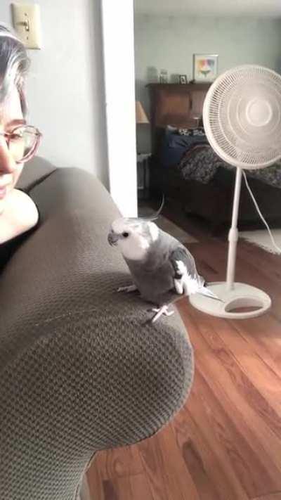 It’s the little tail flare for me