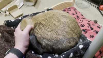 Is my bun weird for enjoying this?