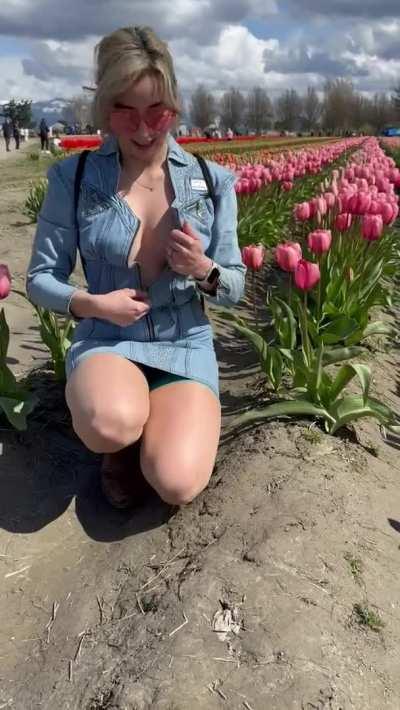 [GIF] Lots of people out at the tulip fields this weekend