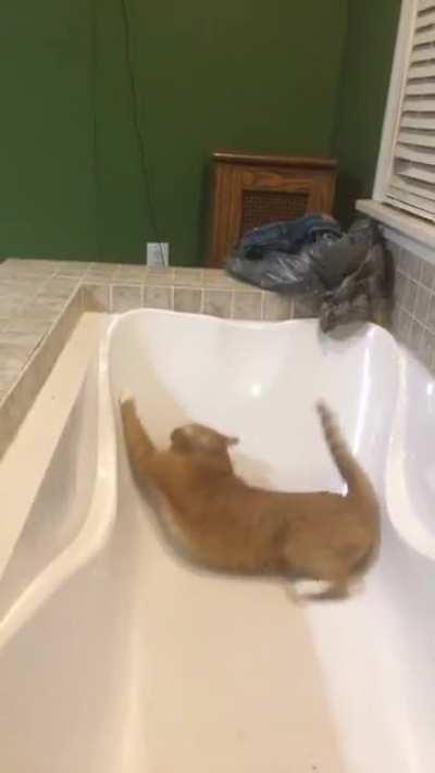 The tub is empty my dude