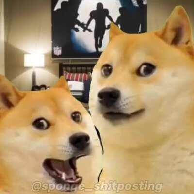 DaVinki ? Credit: insta : @sponge_shitposting