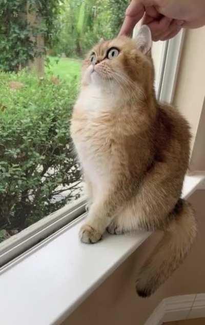 Stop touching me, bitch