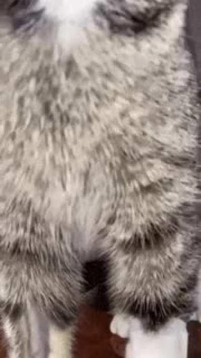 She wanted to show her pussy.