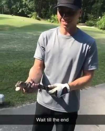 What a cute baby crocodile...