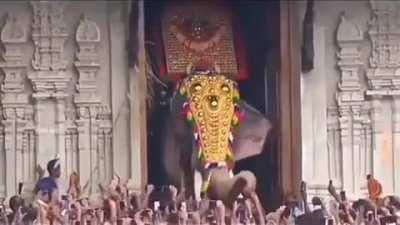 India's tallest elephant with some temple decorations, Human For Scale.