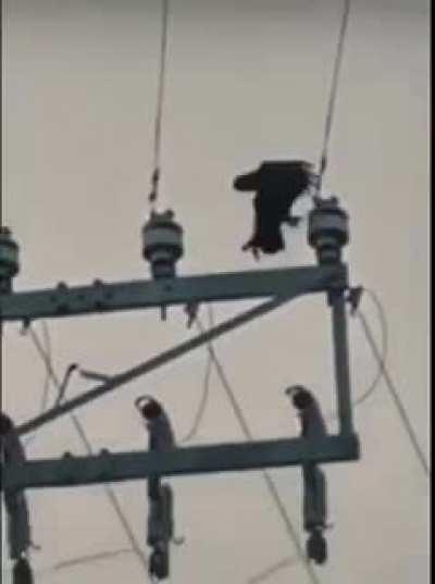 Le salio el water drop