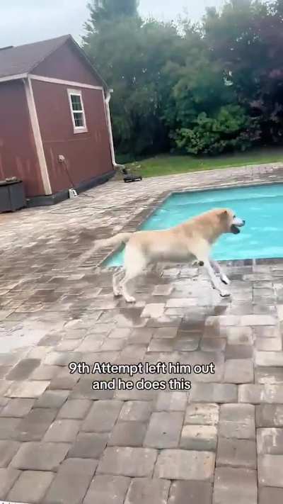 Disobeys mom but follows dad's order