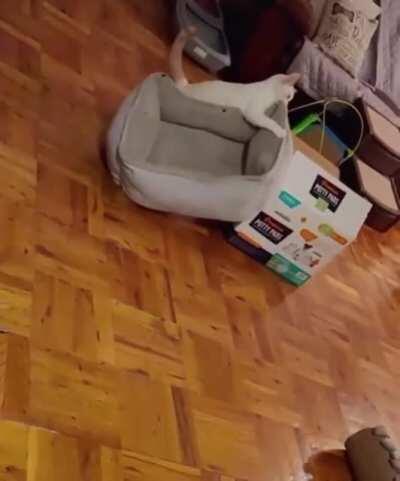 I think its close enough to a stuffie