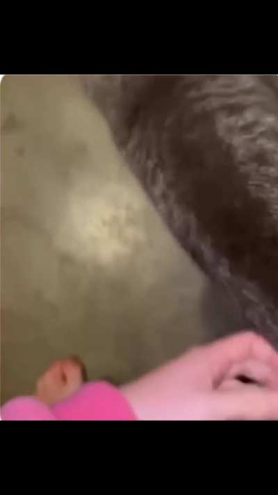 He found the real Eli