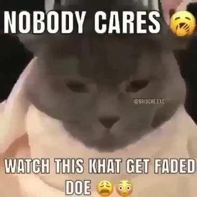 Cat do be gettin faded doe