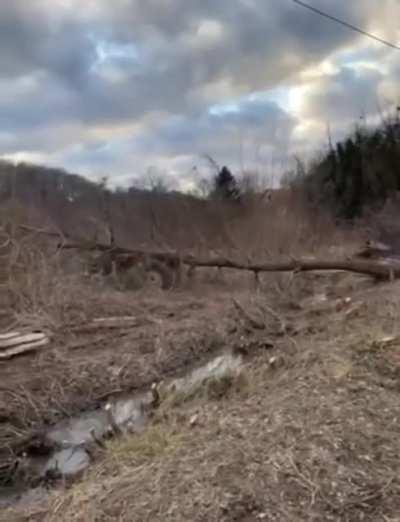 Mr. tractor driver's plan to pull down the tree was perfect. He always hated that tractor.