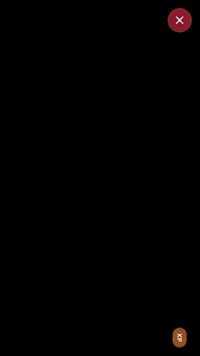 RPGMAKER MV MZ XP VX VX ACE support on iOS