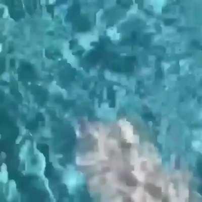 I'm coming for those Cheerios!