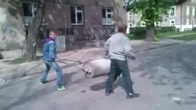 When potato guns go wild