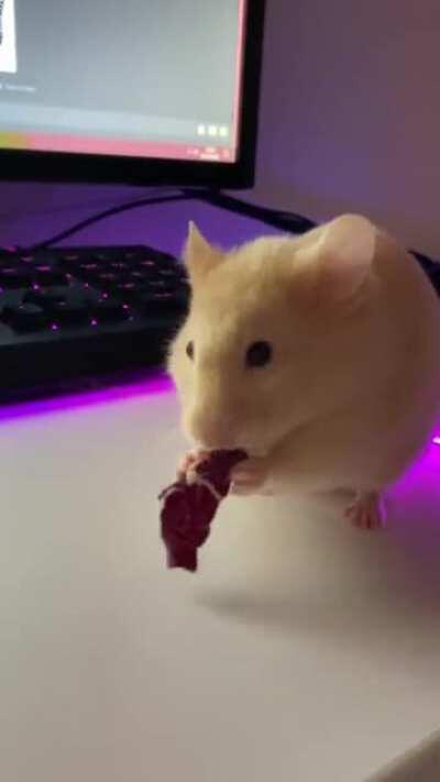 Lil grabbies and cabbage cronching