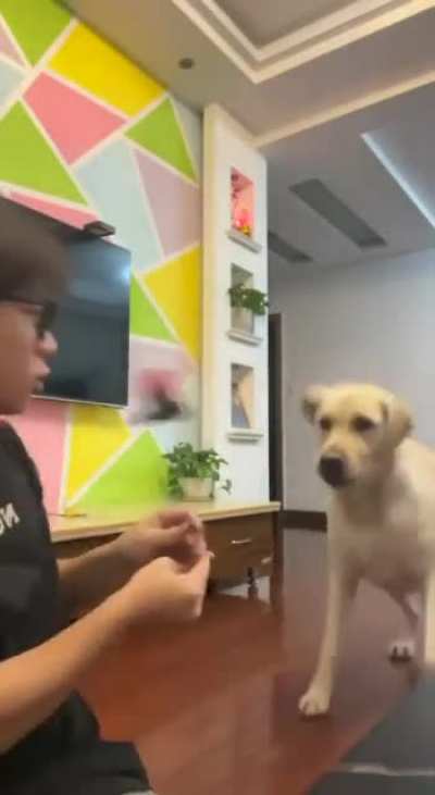 I love this video so much