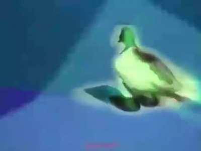 Me In 3 in the morning watching memes