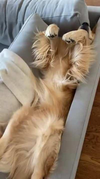 I aim to be this chilled.