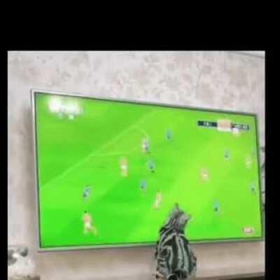 That's why my team never wins