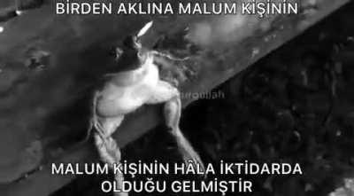 venezuela baskani madurodan bahsedioz di mi¿