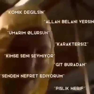 Yeter ya susun of 😔