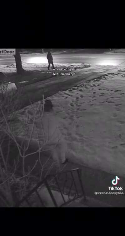 Her security cameras catches her sleep walking