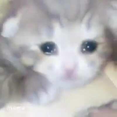 Every day is the same day. Pain never stops