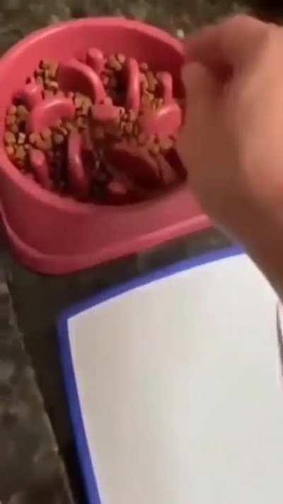 Do it properly and don't forget to oven