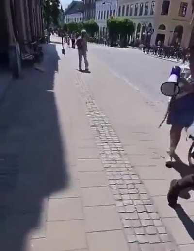 Protester versus Swedish police 