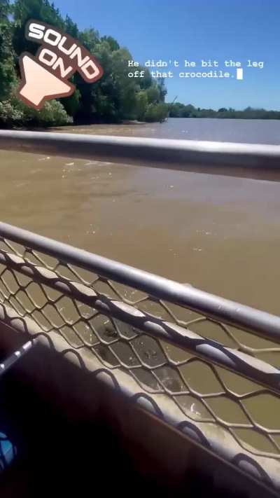 Dominator attacks a smaller crocodile and rips off its limb