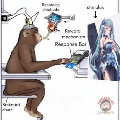 The new skin for Privaty is really good 