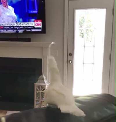 When you know your are mom’s favorite.