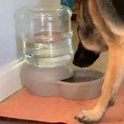 What the hell was that dad?