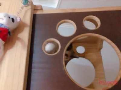 tap tap t-t-t-tap t-tap t-t-t-t-