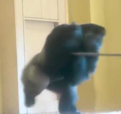 You could see the moment he decided to chase his dreams, really