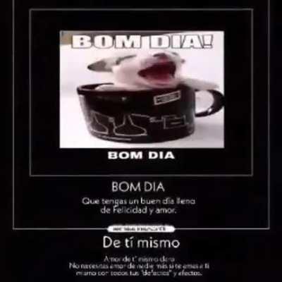 BOM DIA!!