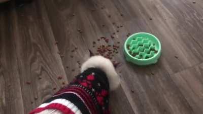 Solving the puzzle feeding bowl