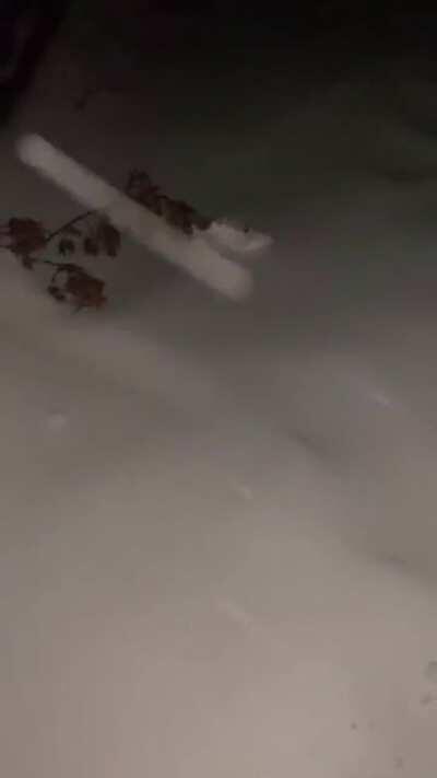 There goes ma fookin shoe